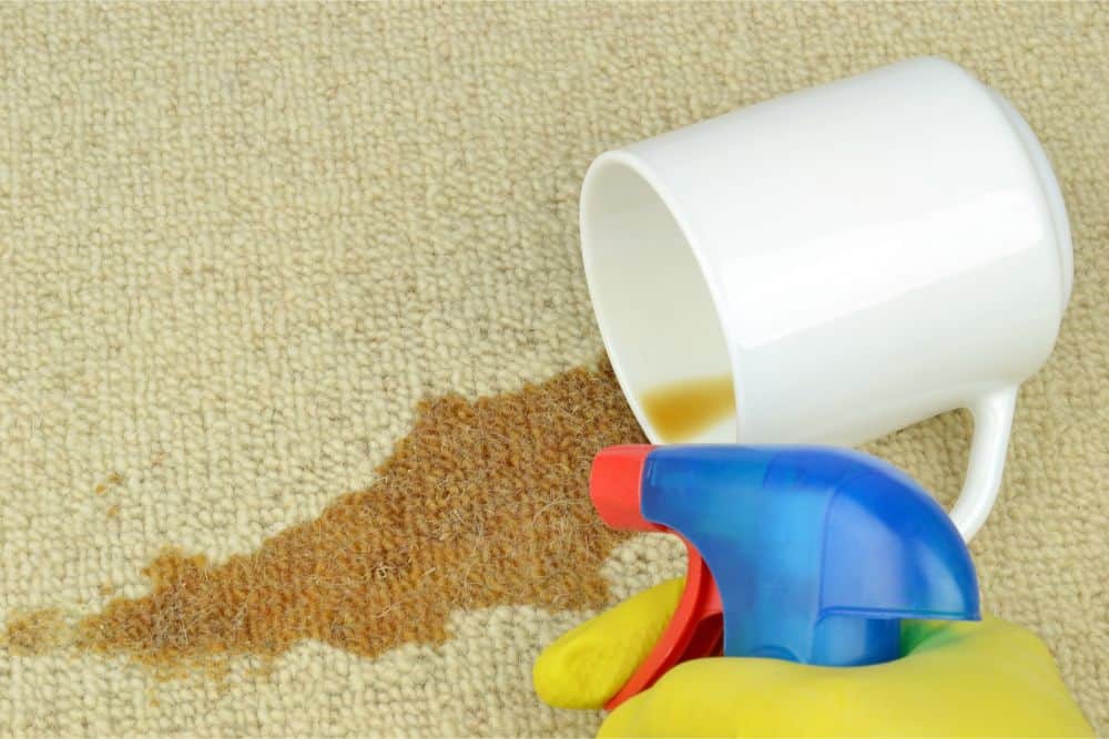 a cup of coffee dropped on carpet and a person is showering stain removal on carpet.