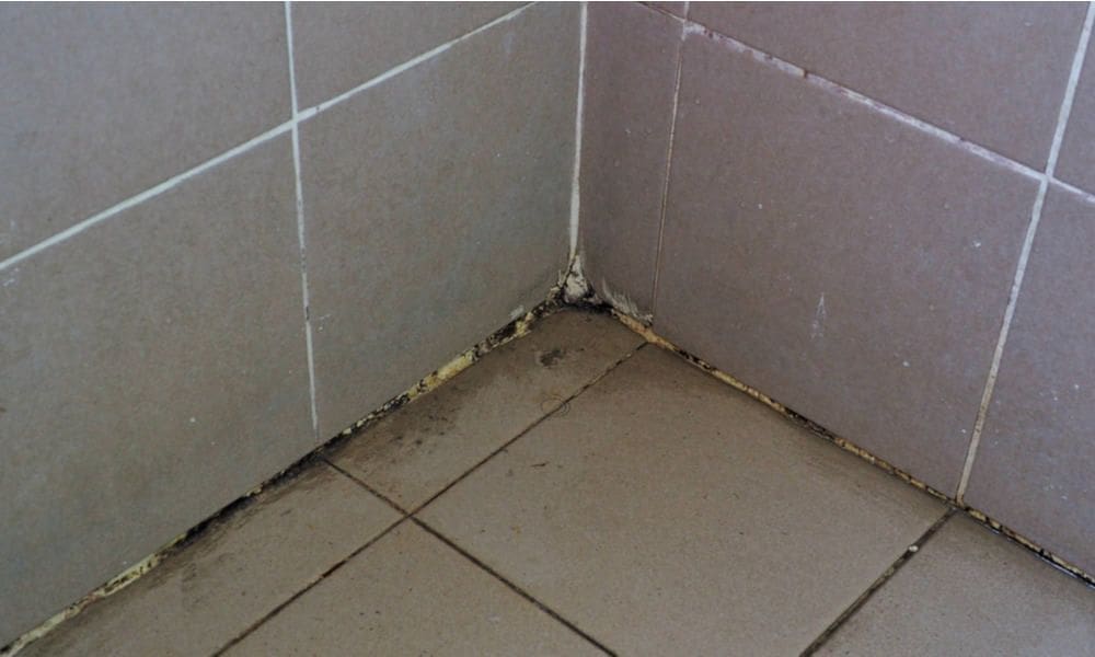 dirty grout picture of bathroom tiles.