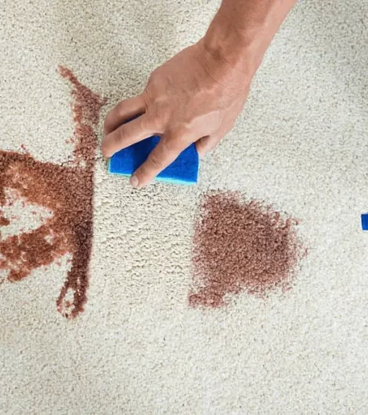 close shot of hands with scrub removing makeup stain from carpet.